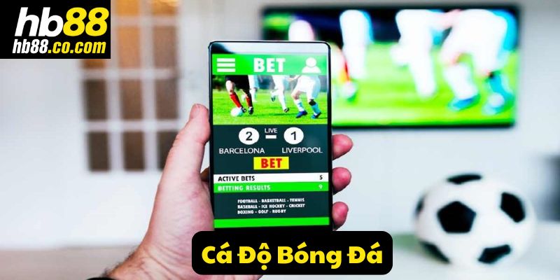 Cá độ đá bóng