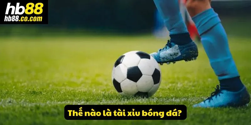 Thế nào là tài xỉu bóng đá?