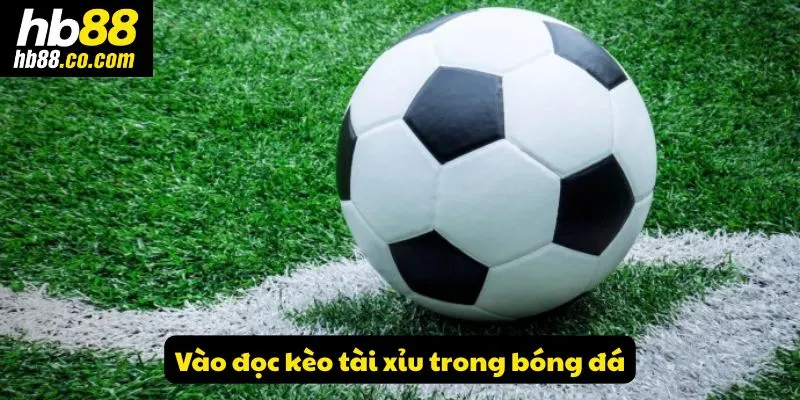 Vào đọc kèo tài xỉu trong bóng đá