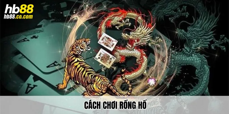 Cách chơi Rồng Hổ tại Hb88