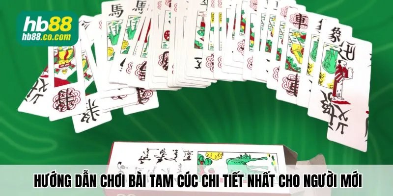 Hướng dẫn chơi bài tam cúc chi tiết nhất cho người mới