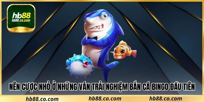 Nên cược nhỏ ở những ván trải nghiệm Bắn Cá Bingo đầu tiên