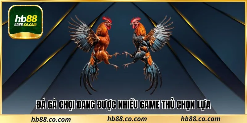 Đá gà chọi đang được nhiều game thủ chọn lựa 