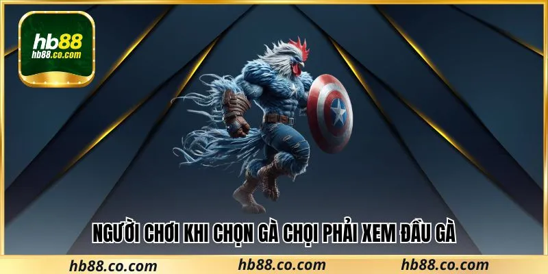 Người chơi tham gia cá cược khi chọn gà chọi phải xem đầu gà